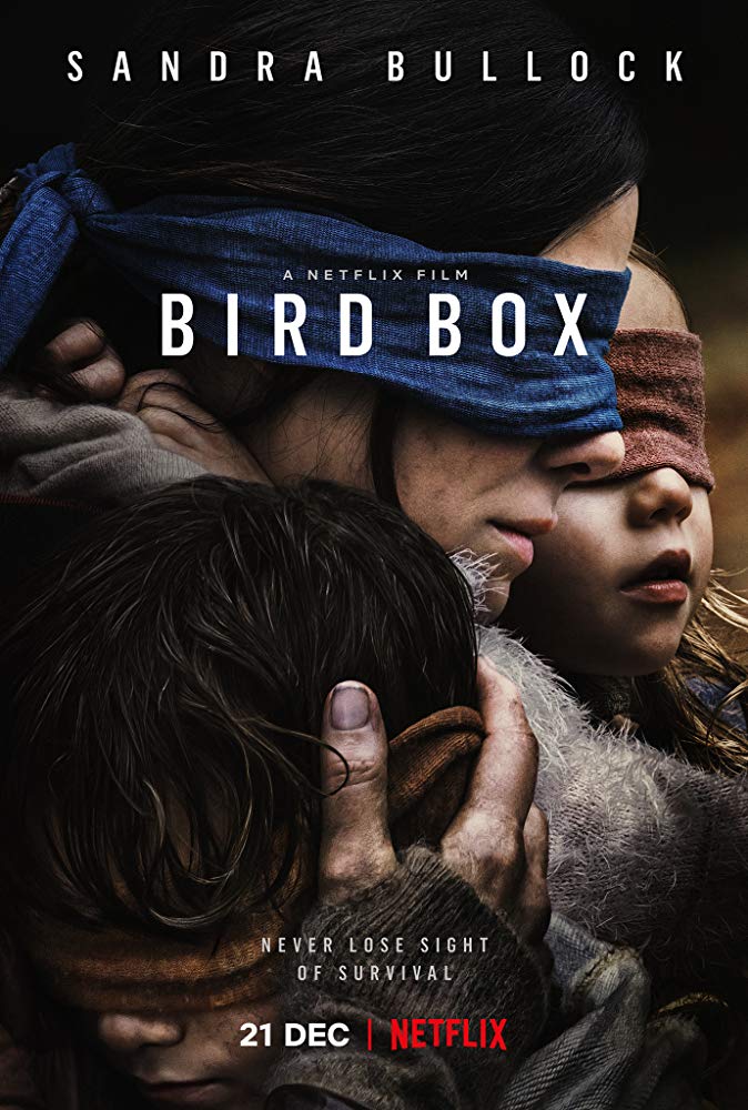The poster for Bird Box, a Netflix horror movie being reviewed by Horror Movie Talk