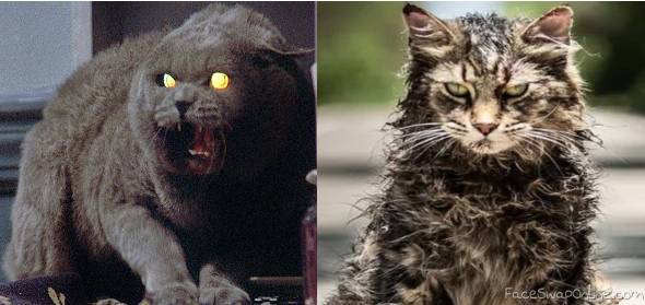 Risultati immagini per church pet sematary original vs remake